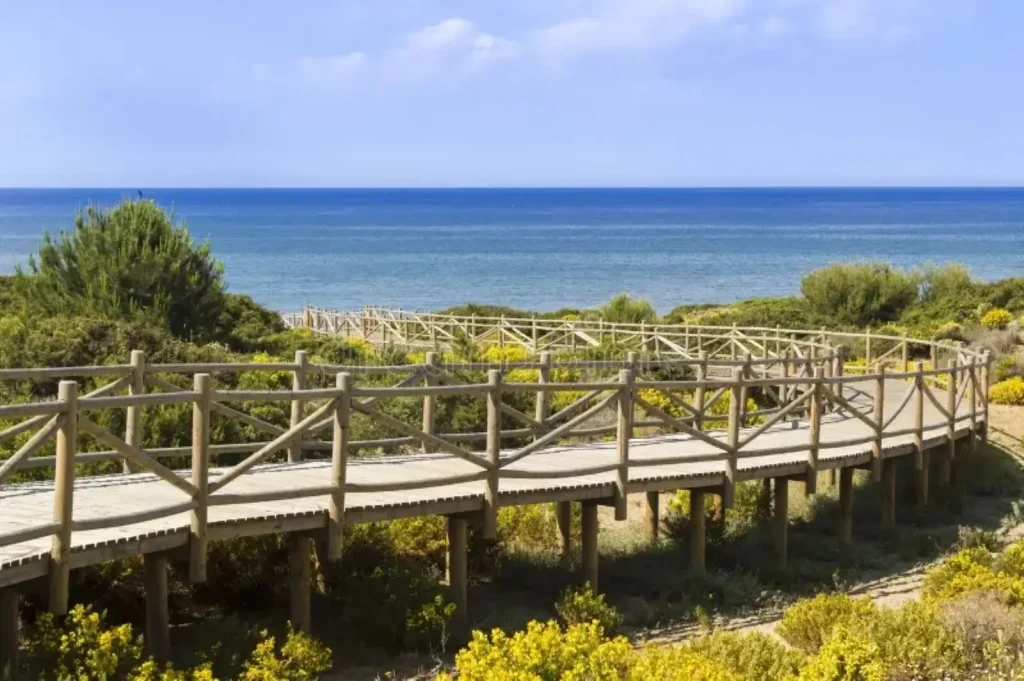 dunas-da-reserva-natural-do-artola-