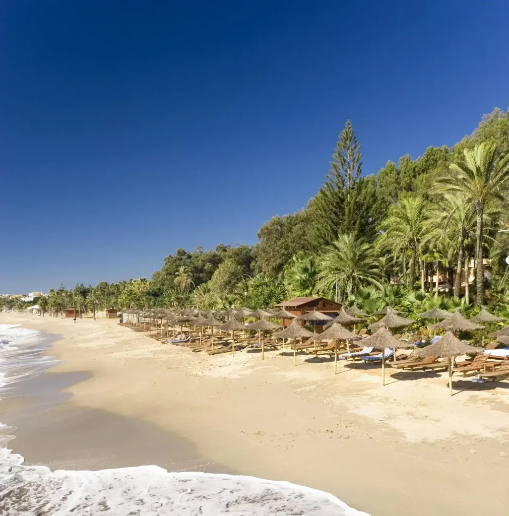 nagueles-beach